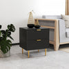 HOMCOM Nightstand, Bedside Table, Side End Table with 2 Drawers, Black
