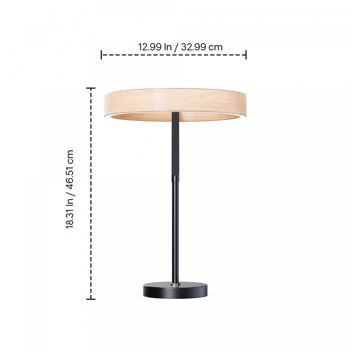 Lampe de table à DEL de 18 po noir mat de conception inclinée