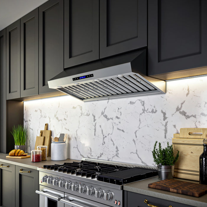 Hotte murale Palazzo de 48 po en acier inoxydable, filtres a chicanes robustes-FRHWM5030-36