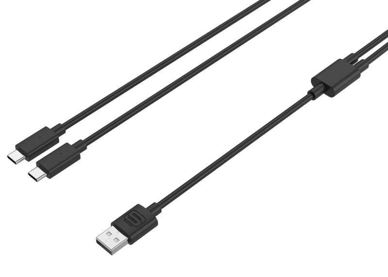 Piles et câble de recharge X1A de Surge noirs pour deux manettes Xbox de série X