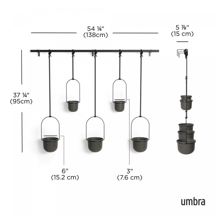 Jardinière suspendue Triflora de Umbra noire - ensemble de 5