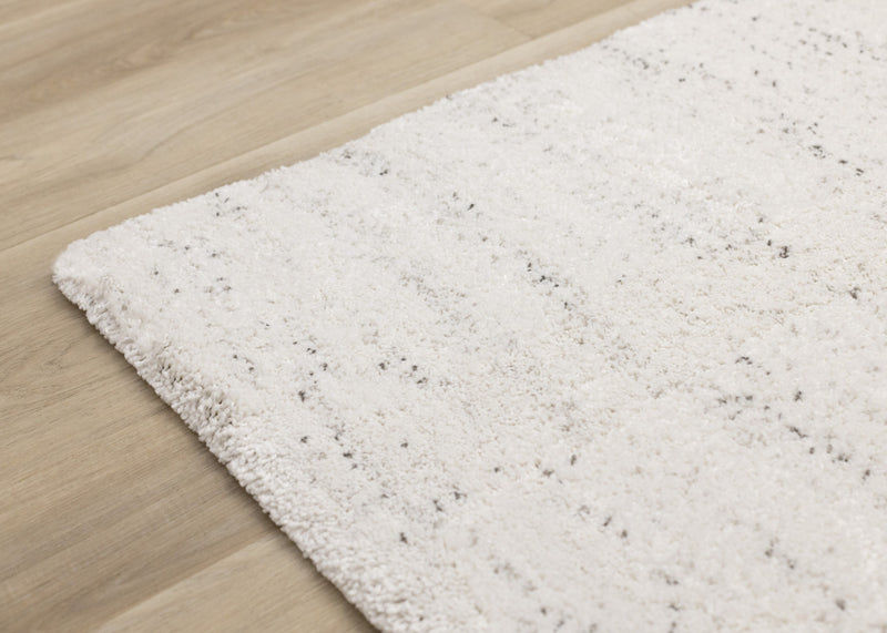 Tapis Surrey mouchete blanc gris, 3'11\" x 5'7\"