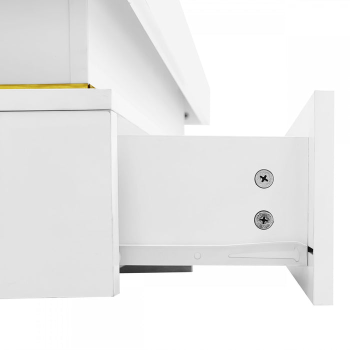 Ava Table Basse a Fini Haute Brillance avec Tiroirs de Rangement et Accents Dores, Blanc