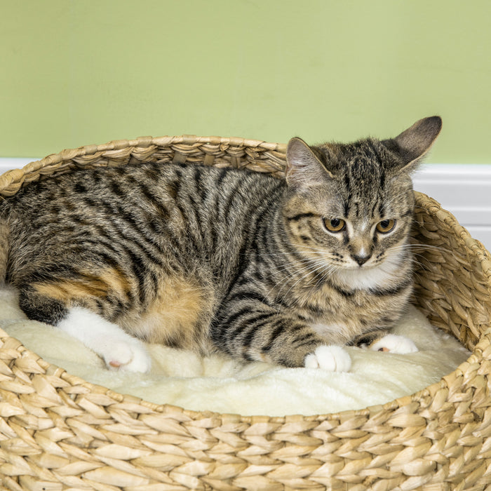 Pawhut Arbre A Chat De 28\" Avec Griffoir En Sisal Pour Chatons D'interieur, Arbre A Chat Moderne Avec Joli Design De Panier, Petit Arbre A Chat Avec Balle Amusante