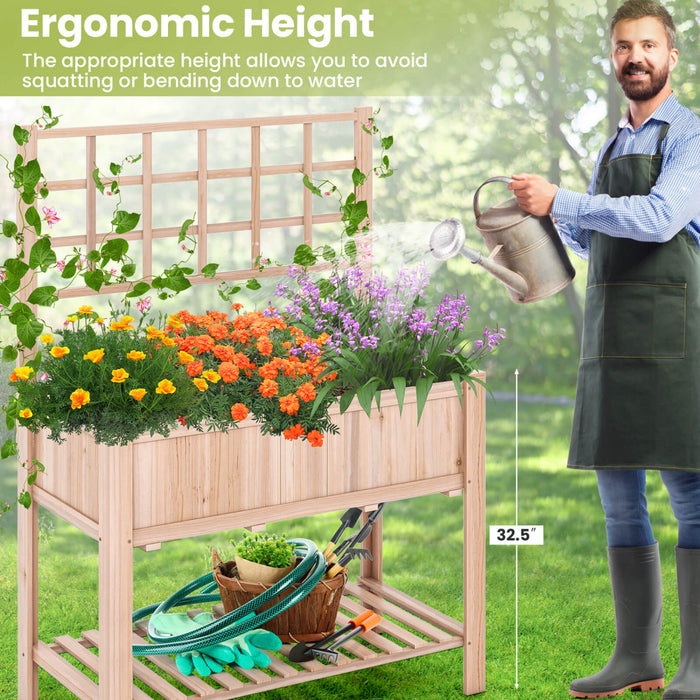 Costway Souleve Lit De Jardin Eleve Boite De Planteur En Bois W / Trellis Et Etagere De Stockage Ouverte