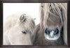 Œuvre d’art en stuc encadrée « Two Horses » - 27,25 po x 39,25 po