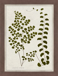 Œuvre d’art en verre mat encadrée « Green Leaves » - 26 po x 34 po
