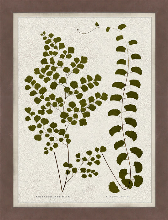 Œuvre d’art en verre mat encadrée « Green Leaves » - 26 po x 34 po