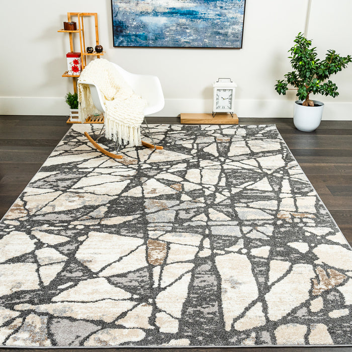Carpette Darius à motif de glace brisée - 6 pi 7 po x 9 pi 6 po
