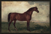 Œuvre d’art en lin texturée et encadrée « Vintage Horse II » - 25 po x 37 po