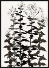 Œuvre d’art encadrée très lustrée « Botanica » - 33 po x 45 po