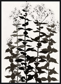 Œuvre d’art encadrée très lustrée « Botanica » - 33 po x 45 po