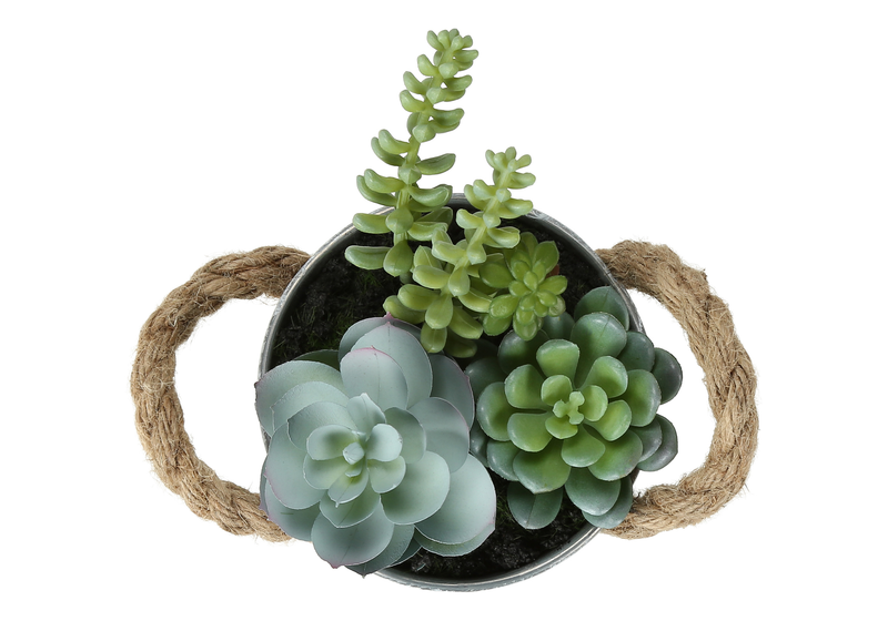 Plante grasse artificielle de 7 po en pot de 5 po en métal - ensemble de 2