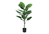54” Artificial Indoor Dieffenbachia in 6” Pot  | Dieffenbachia artificiel de 54 po en pot de 6 po pour l’intérieur