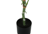 54” Artificial Indoor Dieffenbachia in 6” Pot  | Dieffenbachia artificiel de 54 po en pot de 6 po pour l’intérieur