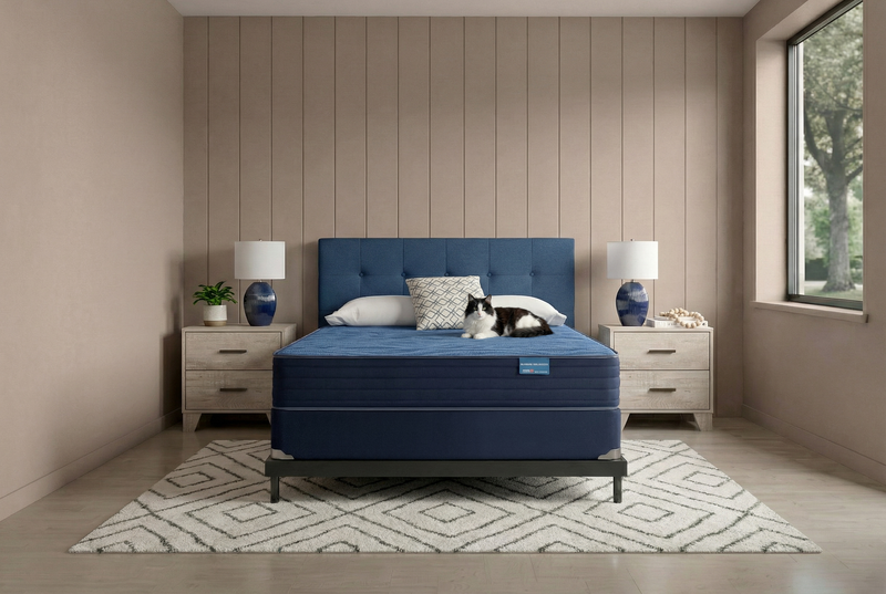 Matelas ferme à plateau régulier San Marino de Springwall pour lit simple 