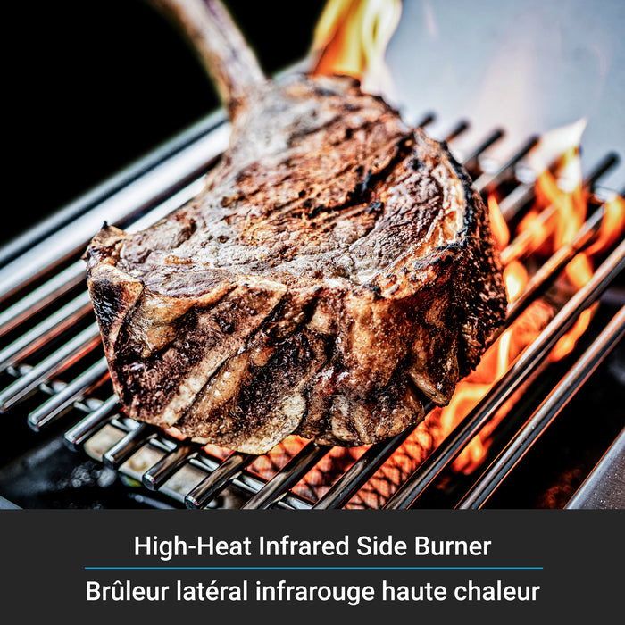 Broil King Regal S 490 Pro IR 4-bruleurs 50 000 BTU Barbecue a gaz naturel - 956947