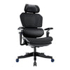 Fauteuil de jeu et de bureau ergonomique Duoflex de TygerClaw à dossier haut - noir