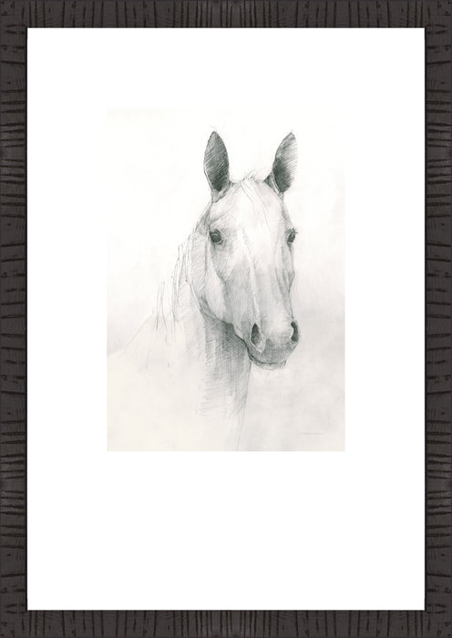 Œuvre d'art encadrée et surélevée sous verre « Ceaser I » avec passe-partout - 16 po x 23 po 