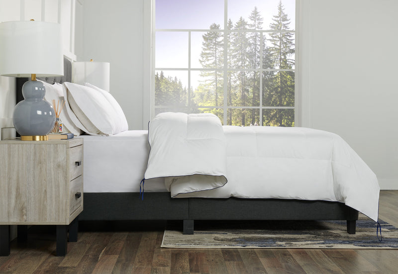 Couette Kort & Co. pour très grand lit