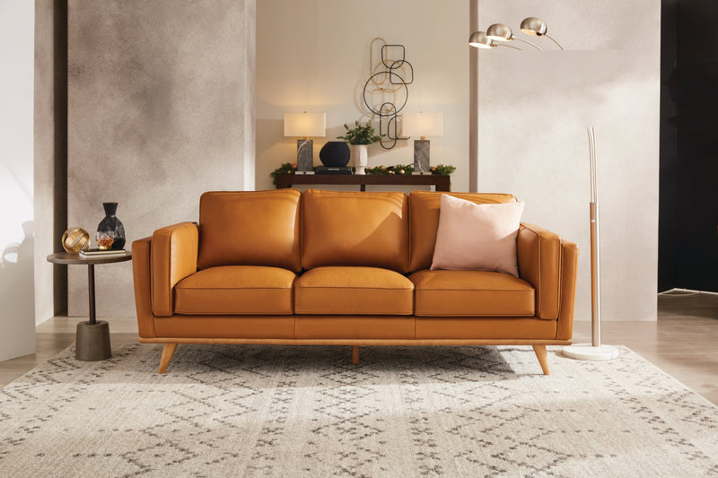 Carpette Astros - 7 pi 10 po x 10 pi 6 po