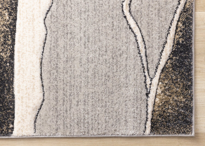 Carpette Rogue - 8 pi x 11 pi