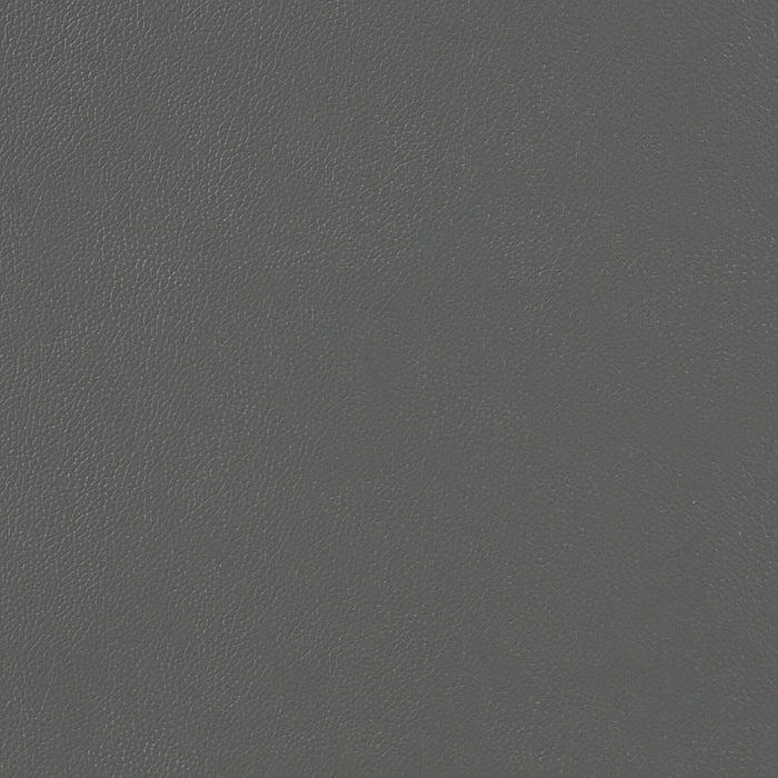 Fauteuil d’appoint Enzo de 26 po en cuir véritable avec capitonnage en biscuit, accoudoirs rectilignes et pattes en bois - gris foncé