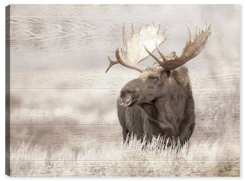 Œuvre d’art « Lone Moose » sur toile - 30 po x 40 po