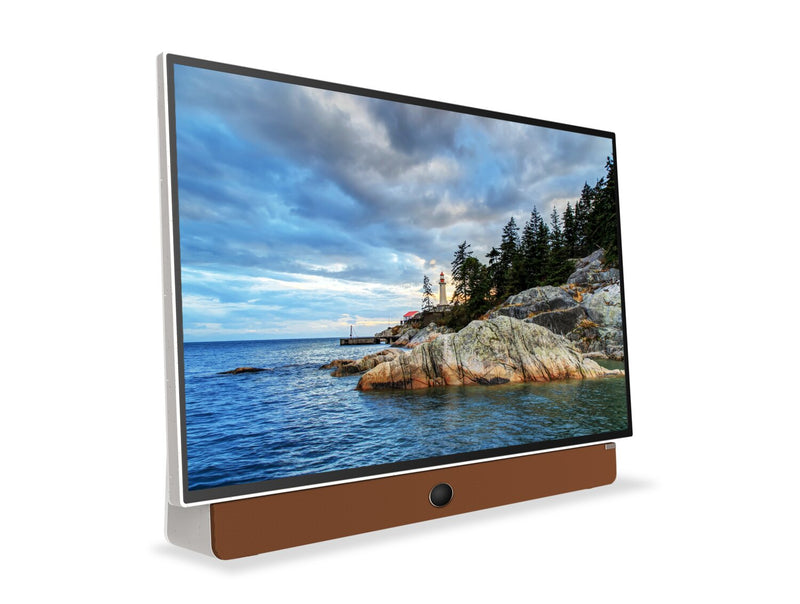  Écran à DEL Companion PortableMC de Skyworth Full HD 1080p avec Google TVMC (24P100) 