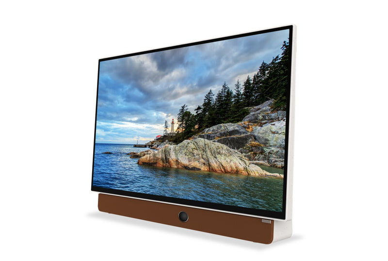  Écran à DEL Companion PortableMC de Skyworth Full HD 1080p avec Google TVMC (24P100) 