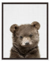 Œuvre d’art encadrée « Baby Bear » avec fini stuc - 17 po x 21 po