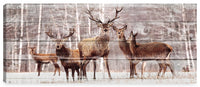  Œuvre d’art « Deer » sur toile - 20 po x 48 po