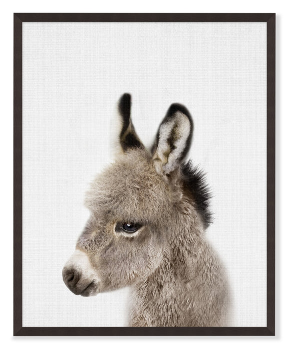 Œuvre d’art encadrée « Baby Donkey » avec fini stuc - 17 po x 21 po
