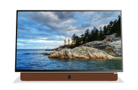   Écran à DEL Companion PortableMC de Skyworth Full HD 1080p avec Google TVMC (24P100)