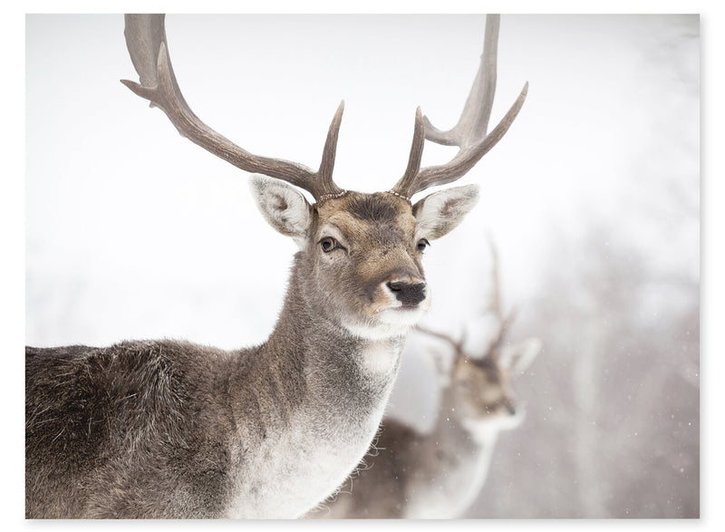 Œuvre d’art encadrée « Deer » avec fini stuc - 27 po x 35 po