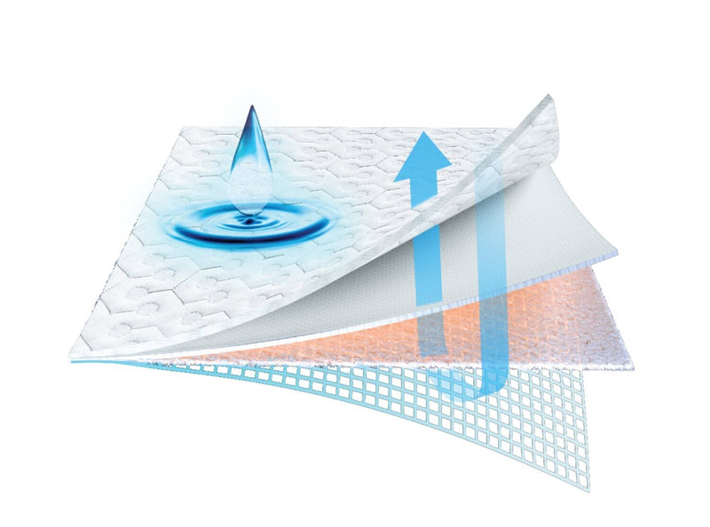 Protège-matelas Performance Dri-TecMD BEDGEARMD divisé pour très grand lit