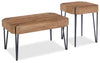 Ensemble de 2 tables modernes Arden de 35 po, table à café et table de bout - brun
