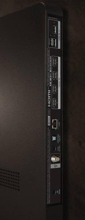 Téléviseur intelligent DELO evo LG 4K de 55 po à 120 Hz avec HDR10, webOS et FreeSyncMC AMD (OLED55C4PUA)