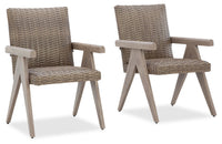  Ensemble de 2 chaises Muskoka pour la terrasse à l’extérieur - osier en résine, résistant aux rayons UV et aux intempéries - beige