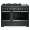 Cuisinière hybride KitchenAid de 6,3 pi³ à 6 brûleurs avec plaque chauffante - genièvre - KFDD948SJP