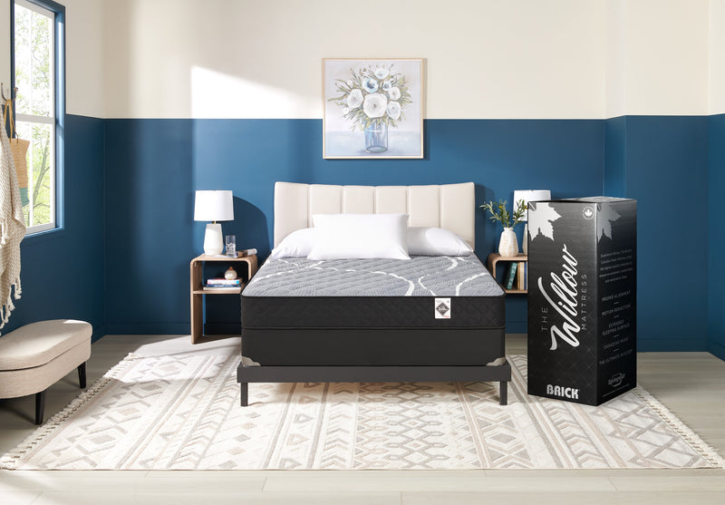 Matelas ferme à plateau régulier dans une boîte White Birch de Springwall pour grand lit