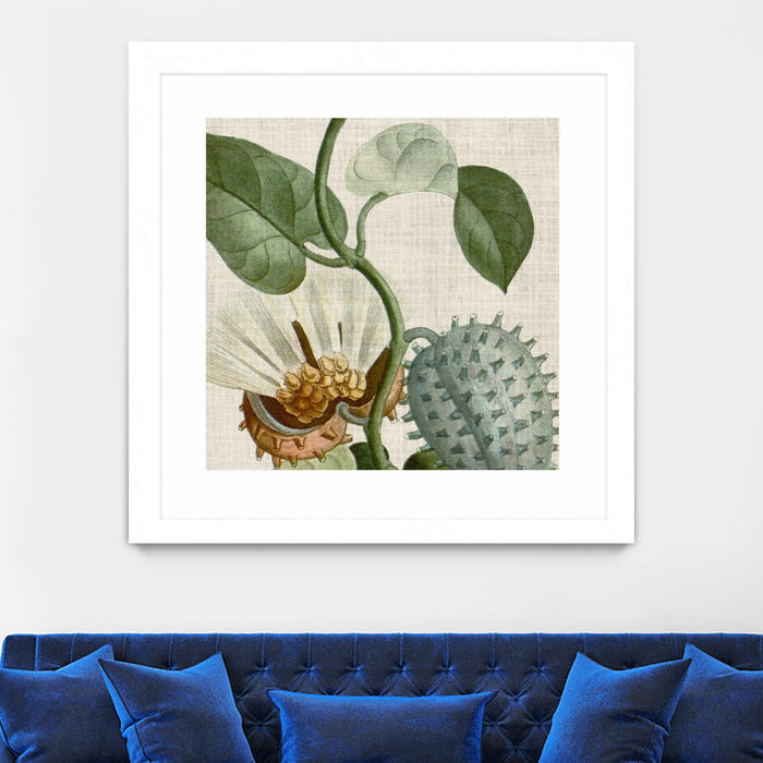 Œuvre d’art murale encadrée blanche et mate « Cropped Turpin Tropicals Ii » 36 x 36