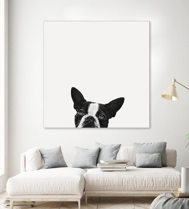 Œuvre d’art murale Giant Art « Loyalty » 72 x 72