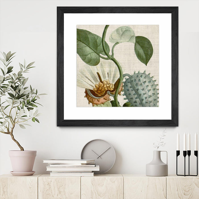 Œuvre d’art murale encadrée noire et mate « Cropped Turpin Tropicals Ii » 36 x 36