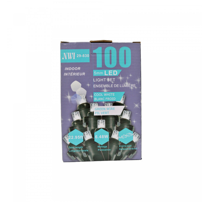 Jeu de 100 lumières à DEL de 5 mm pour l’intérieur avec ampoules blanc froid - ensemble de 2 jeux de lumières de Noël