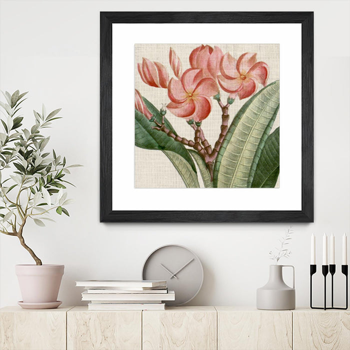 Œuvre d’art murale encadrée noire et mate « Cropped Turpin Tropicals Vii » 36 x 36