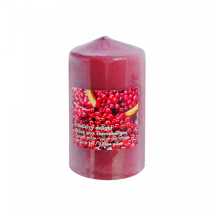 Chandelle pilier parfumée de 2,75 po x 5 po à arôme de délice aux canneberges - ensemble de 2 chandelles