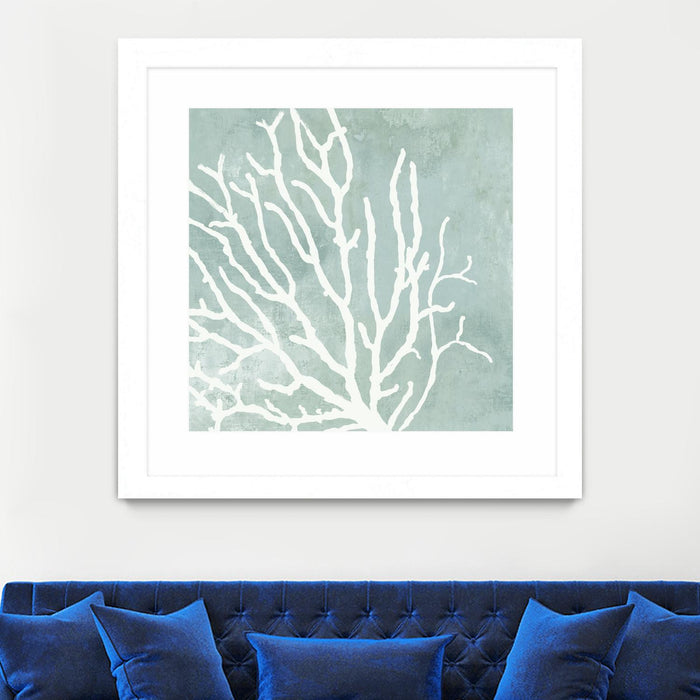 Œuvre d’art murale encadrée blanche et mate « Sea Crown I » 36 x 36