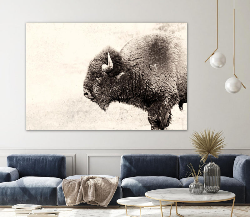 Œuvre d’art murale Giant Art « Buffalo » 84 x 54