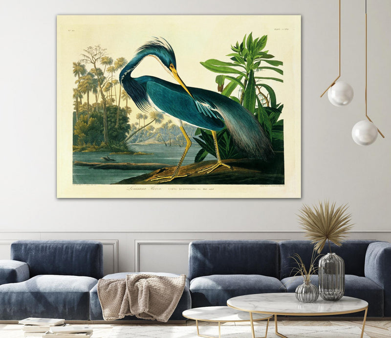 Œuvre d’art murale Giant Art « Louisiana Heron Plate 217 » 72 x 54